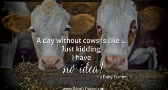 Quote from a Dairy Farmer