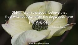 Folklore Saying