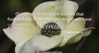 Folklore Saying