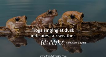 Folklore Saying