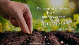 Gertrude Jekyll Quote