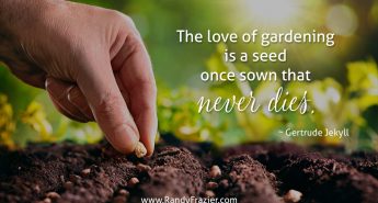 Gertrude Jekyll Quote