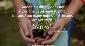 Allan Armitage Quote