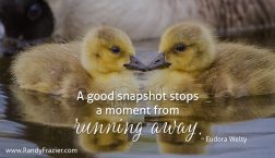 Eudora Welty Quote