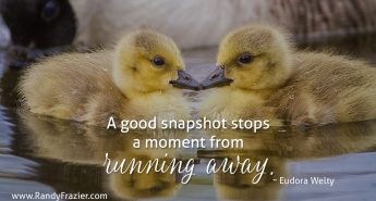 Eudora Welty Quote