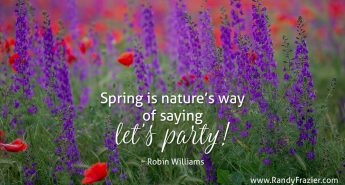 Robin Williams Quote