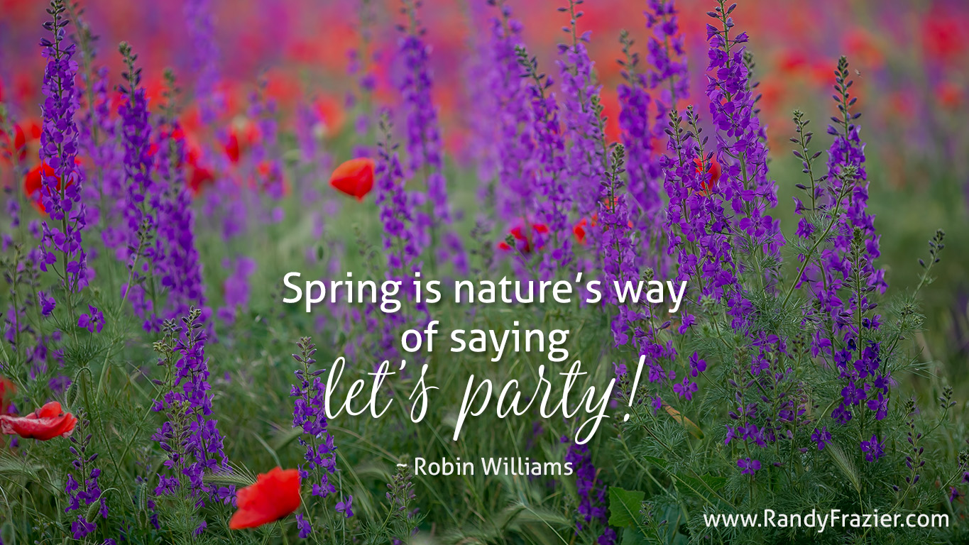 Robin Williams Quote