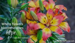 Lady Bird Johnson Quote