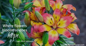 Lady Bird Johnson Quote