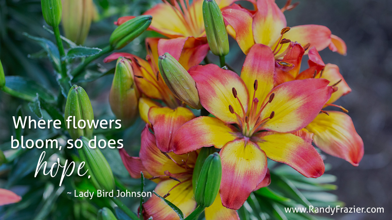 Lady Bird Johnson Quote