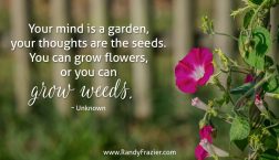Quote from Unknown Author