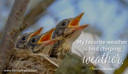 Terri Guillemets Quote