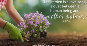Jeff Cox Quote