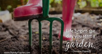 Chinese Proverb
