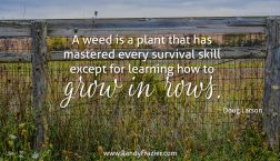 Doug Larson Quote
