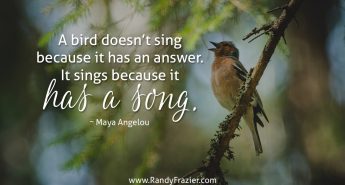 Maya Angelou Quote
