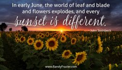 John Steinbeck Quote
