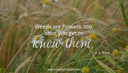 A. A. Milne Quote
