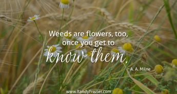 A. A. Milne Quote
