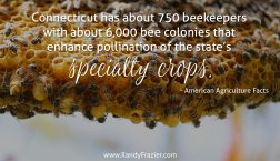 Ag Fact about Connecticut
