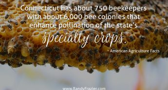 Ag Fact about Connecticut
