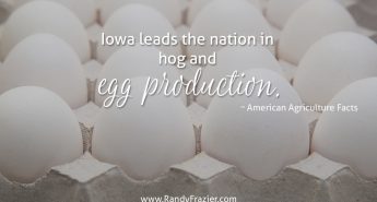 Ag Fact about Iowa