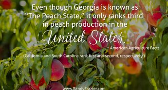 Ag Fact about Georgia