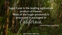 Ag Facts about Sugar Cane