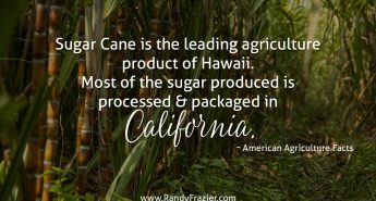 Ag Facts about Sugar Cane