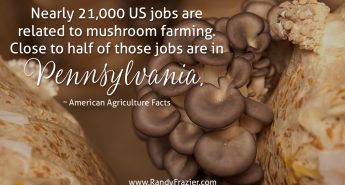 Ag Fact about Mushroom Farms