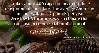 Ag Fact about Cacao Beans