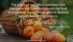 Ag Facts about Apricots
