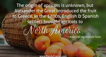 Ag Facts about Apricots