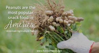 Ag Facts about Peanuts