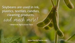 Ag Facts about Soybeans