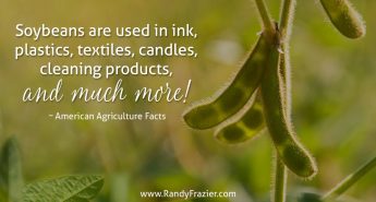 Ag Facts about Soybeans