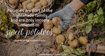 Ag Facts about Potatoes