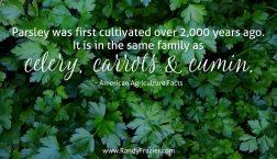 Ag Facts about Parsley