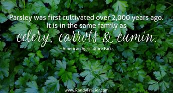 Ag Facts about Parsley