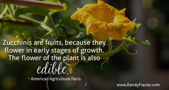 Ag Facts about Zucchini