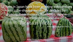 Ag Facts about Watermelons