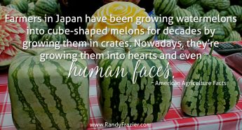 Ag Facts about Watermelons
