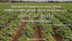 Ag Facts about Squash