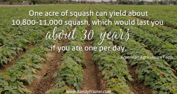 Ag Facts about Squash