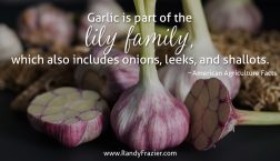 Ag Facts about Garlic
