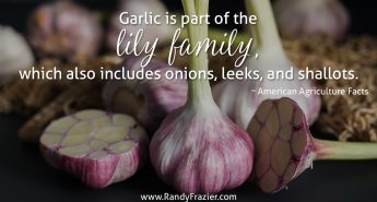 Ag Facts about Garlic