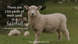 Ag Facts about Baseball