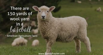 Ag Facts about Baseball
