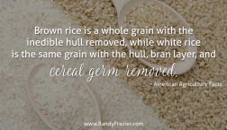 Ag Facts about Rice