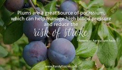Ag Facts about Plums